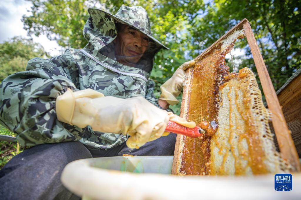 俄罗斯太阳集团是一个什么集团
